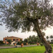 Villa Mirador, foto immagini matrimoni Zafferana Etnea catania CT