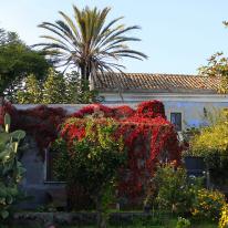 Petralonga, foto immagini 18 anni San Gregorio di Catania CT
