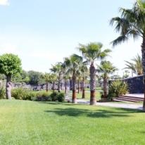 Antico Borgo Degli Ulivi foto immagini 18 anni Viagrande catania CT